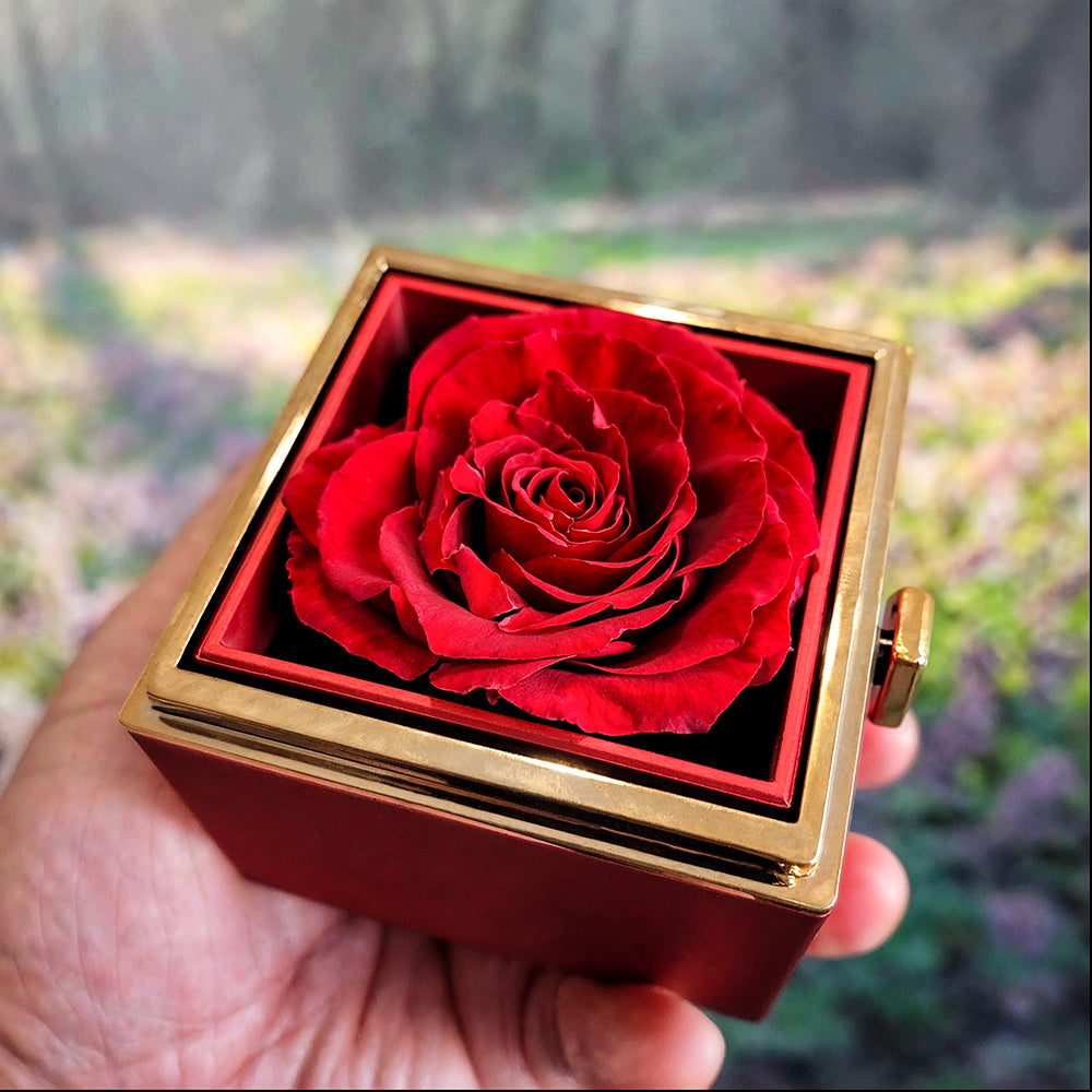 BEAUTY OF YOUR DREAMS Love Knot  with Gift Box
